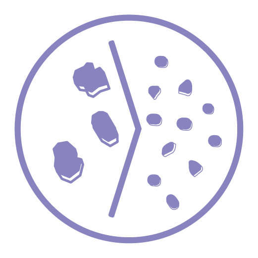 cleanic_icon2