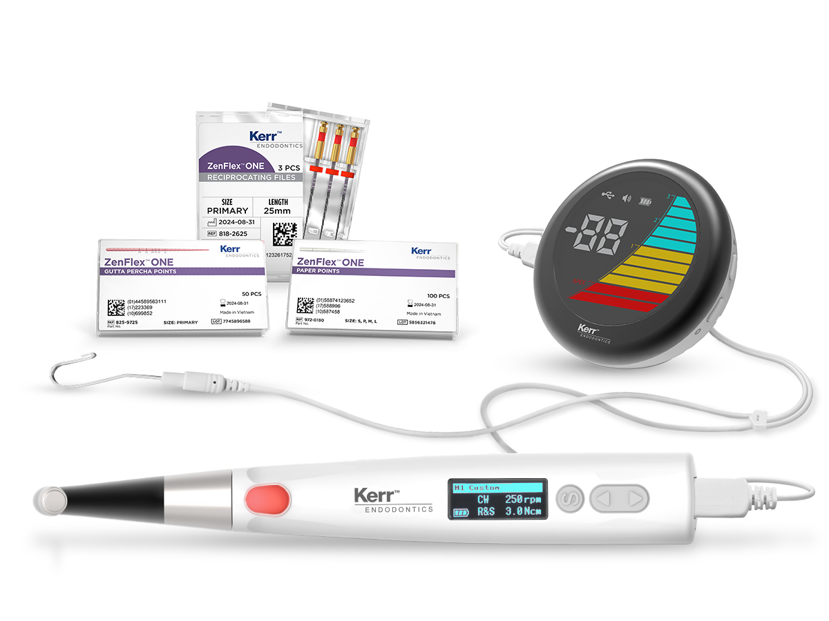 ZenFlex ONE system workflow